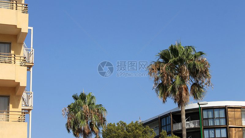 一个优秀的冬令营，离不开一支高素质的师资团队。在挑选冬令营时，可以关注以下方面：